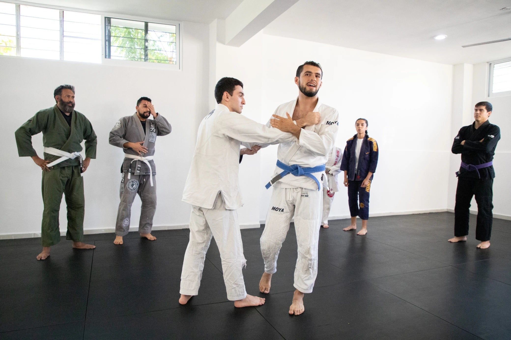 Practicantes entrenando en un campamento intensivo de jujitsu